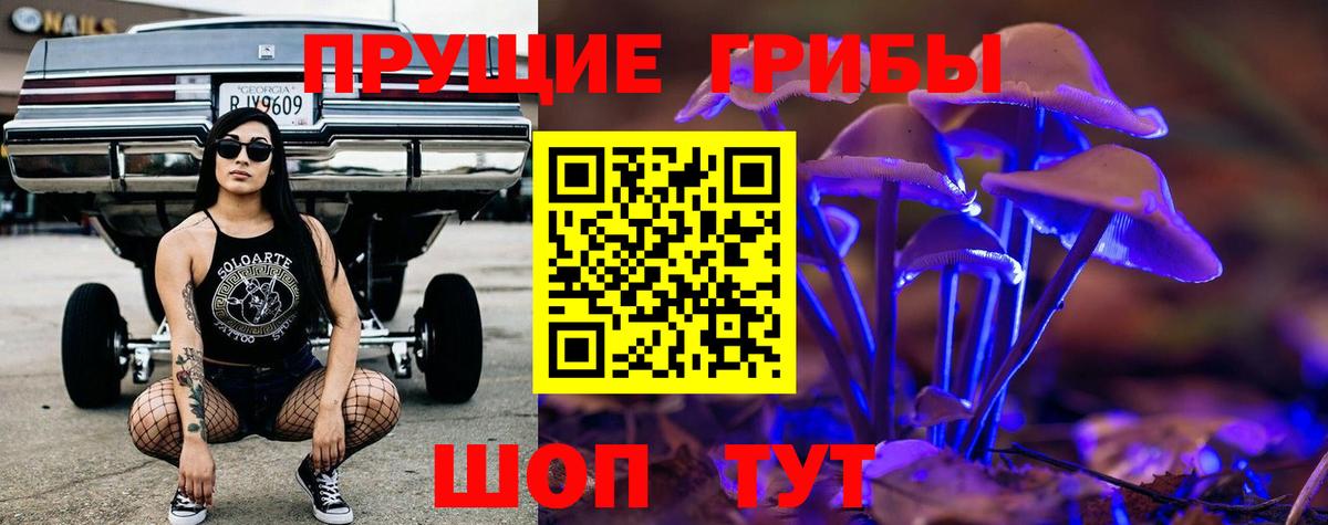 Галлюциногенные грибы Psilocybine cubensis Лянтор