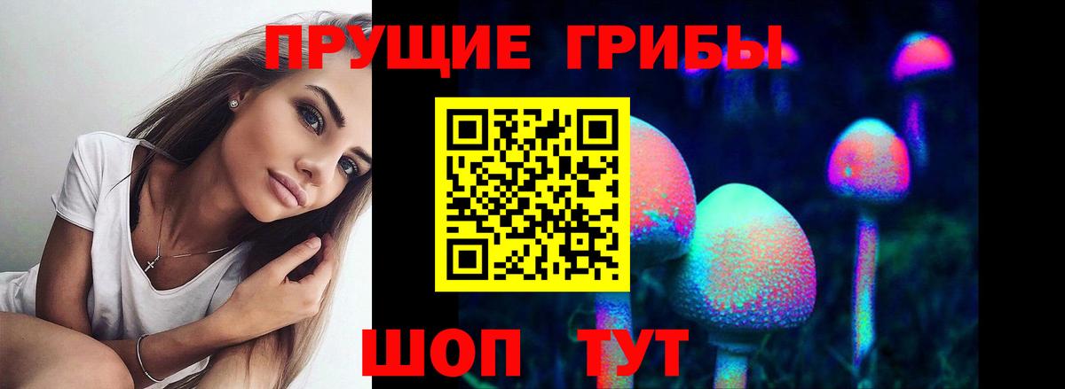 Лянтор  Галлюциногенные грибы Psilocybine cubensis  Вход с VPN  Псилоцибиновые грибы прущие грибы 